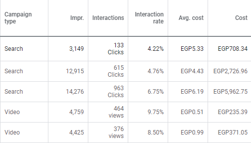 Google Ads campaign overview showing strong return on ad spend across search and shopping